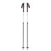 EXPEDITION 2 SKI POLES