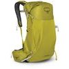 DOWNBURST 26 MENS, babylonica yellow