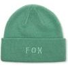 Wordmark Beanie Pine