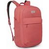 ARCANE EXTRA LARGE 28 red pampas