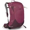SIRRUS 24 elderberry purple/chiru tan
