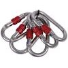 Set 5 Steel Oval Standard Lock