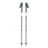 EXPEDITION 3 SKI POLES