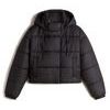 Hillgate Cropped Puffer Black