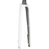 Domane SL 5 53R ST Trek White/Quicksilver 255mm, 53mm