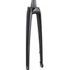 Trek-Diamant 2022 Rubin Super Legere Fork