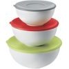Set of 3 Everywhere bowls with lids