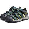 KEEN NEWPORT NEO H2 YOUTH, sea moss/steel grey