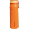 The IceFlow™ Bottle Twist Flip 700 ml/24oz Goldenrod Coral