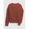 GAP 453355-02 Dětský pletený svetr Hnědá