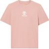 Print Stack Logo Short Sleeve Tee  Ash Rose