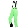 EDESO neon green gecko