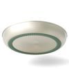 SEA TO SUMMIT Detour Stainless Steel Plate, Laurel Wreath Green