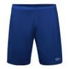 R5 2in1 Shorts ultramarine blue