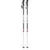 Rental junior ski poles