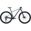 XTC Advanced 29 3 Moonstone