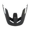 Speedframe Pro Visor Black