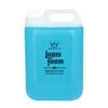 LOAMFOAM CLEANER 5 L (PLF5-4)