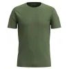 SMARTWOOL M MERINO SHORT SLEEVE TEE, fern green