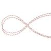 10.0 Performance Static 50m white-red
