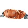 DEUTER Pulse 3, chestnut-teal