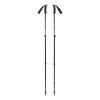 BLACK DIAMOND TRAIL SPORT TREK POLES, Laurel Green