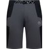 West Crest Shorts M Onyx/Black