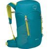 JET 18, blue spikemoss/lemongrass