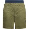 Roots Shorts M Cypress/Night Sky