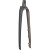 Fork Rigid 2025 Domane SL 7 48R 355mm, 48mm Dark Web