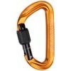 Sender Screwgate Carabiner Gold 1571