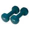Neoprene dumbbells 2kg/pair