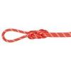 8.0 Alpine Classic Rope 30m assorted