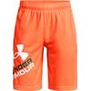 UA Prototype 2.0 Logo Shorts-ORG