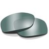 WILEY X WILEY X ASPECT POLARIZED - PLATINUM FLASH - SMOKE GREEN LENSES