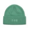 Wordmark Beanie Pine