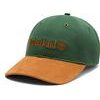 Archive Baseball Cap  Pineneedle