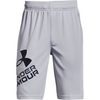 Prototype 2.0 Logo Shorts, grey