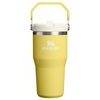 IceFlow™ Flip Straw 2.0 Tumbler 600 ml Daffodil