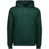 POC Hood  Pargasite Green