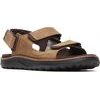 COVE LTR BACKSTRAP M coffee