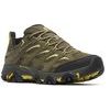 MOAB 3 GTX M loden