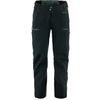 Bergtagen GTX Pro Trousers M Black