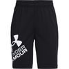 UA Prototype 2.0 Logo Shorts, Black