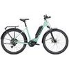 Allant+ 5 Lowstep Blue Sage 545Wh