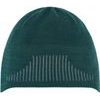 Strive Beanie T 2 adv. green-astro grey-adv.gree