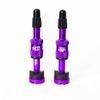 Presta Quickfill Tubeless Valves | Gen2 | 16-24mm Depth | 2 Pieces | Eggplant