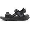 EDARE black