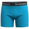 SMARTWOOL M ACTIVE BOXER BRIEF BOXED, pool blue