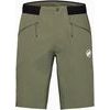 Aenergy Light SO Shorts Men marsh